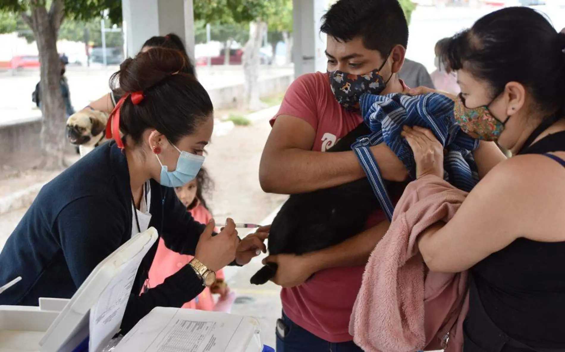 EXITOSO ARRANQUE DE SEMANA NACIONAL DE VACUNACION (2)